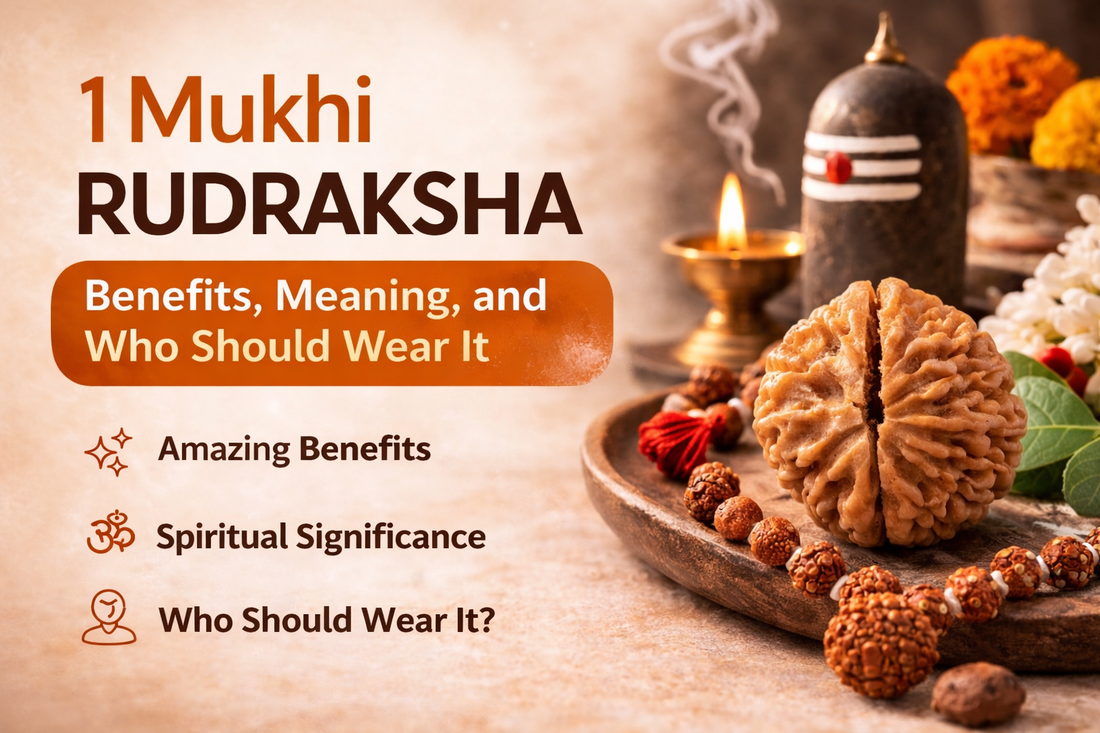1 Mukhi Rudraksha Benefits