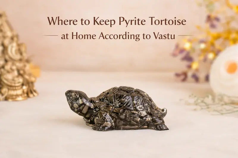 Where to Keep Pyrite Tortoise at Home According to Vastu