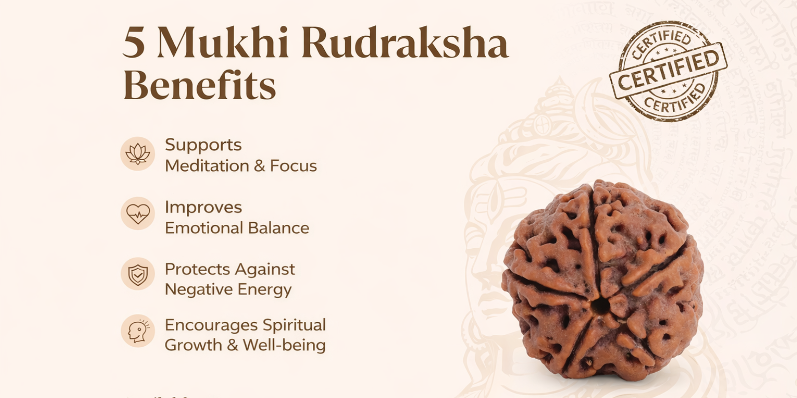 5 Mukhi Rudraksha Benefits