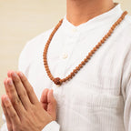 4 Mukhi Rudraksha bead in 5 Mukhi Rudraksha Mala