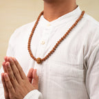 9 Mukhi Rudraksha bead in 5 Mukhi Rudraksha Mala