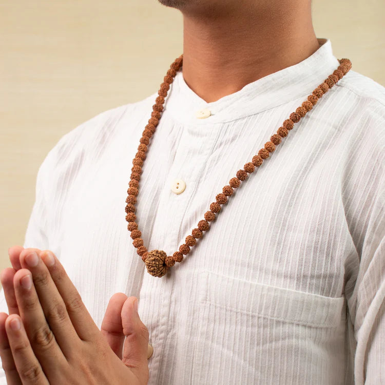 10 Mukhi Rudraksha bead in 5 Mukhi Rudraksha Mala