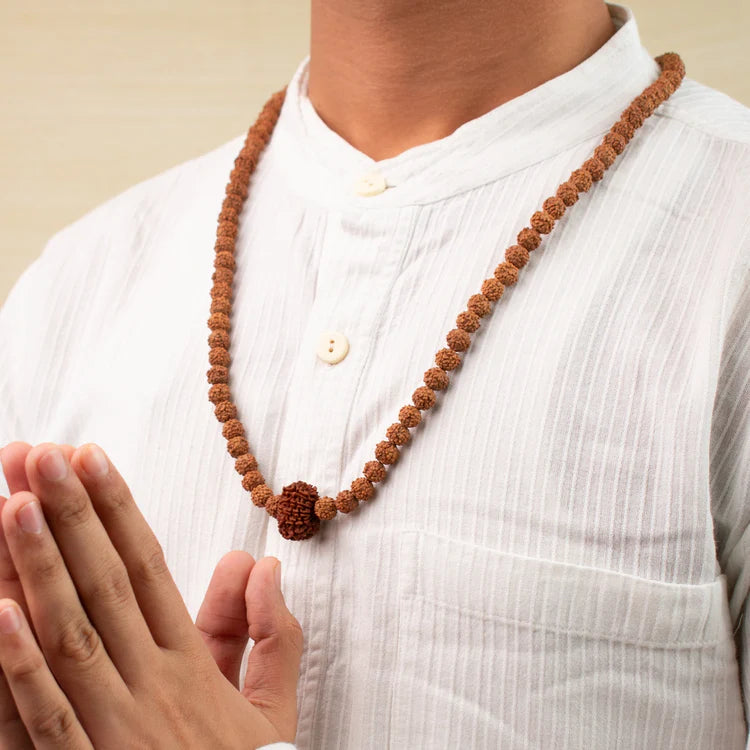 12 Mukhi Rudraksha bead in 5 Mukhi Rudraksha Mala