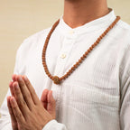 13 Mukhi Rudraksha bead in 5 Mukhi Rudraksha Mala