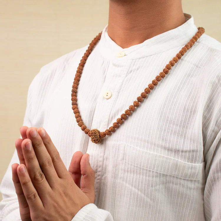 13 Mukhi Rudraksha bead in 5 Mukhi Rudraksha Mala