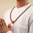 14 Mukhi Rudraksha bead in 5 Mukhi Rudraksha Mala