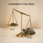Vastu Pyrite Tortoise Combo