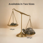 Collector’s Edition Pyrite Tortoise (Kachhua) - Big Size - 8x heavier