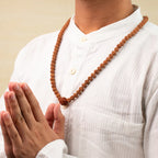 3 Mukhi Rudraksha Bead in 5 Mukhi Rudraksha Mala