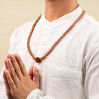 6 Mukhi Rudraksha bead in 5 Mukhi Rudraksha Mala