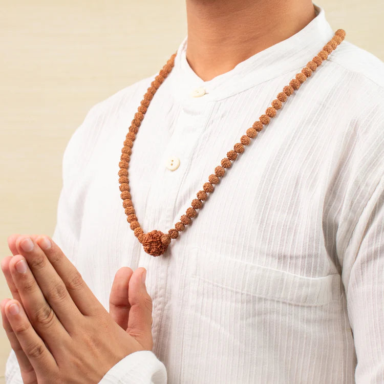 7 Mukhi Rudraksha bead in 5 Mukhi Rudraksha Mala
