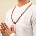 7 Mukhi Rudraksha bead in 5 Mukhi Rudraksha Mala