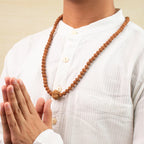 8 Mukhi Rudraksha Bead in 5 Mukhi Rudraksha Mala