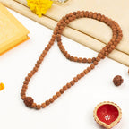 4 Mukhi Rudraksha bead in 5 Mukhi Rudraksha Mala
