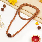 7 Mukhi Rudraksha bead in 5 Mukhi Rudraksha Mala