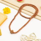 13 Mukhi Rudraksha bead in 5 Mukhi Rudraksha Mala