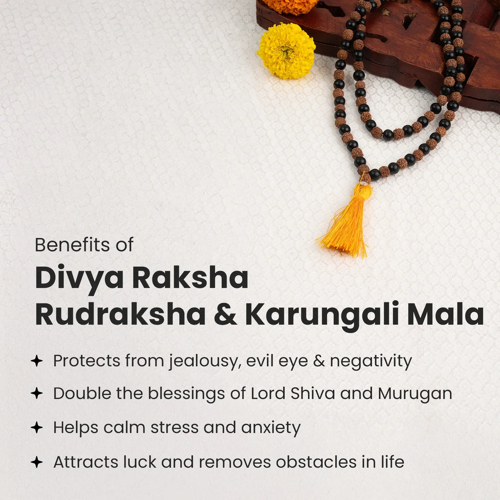 Divya Raksha Rudraksha & Karungali Mala ||  8mm - 108+1 Beads