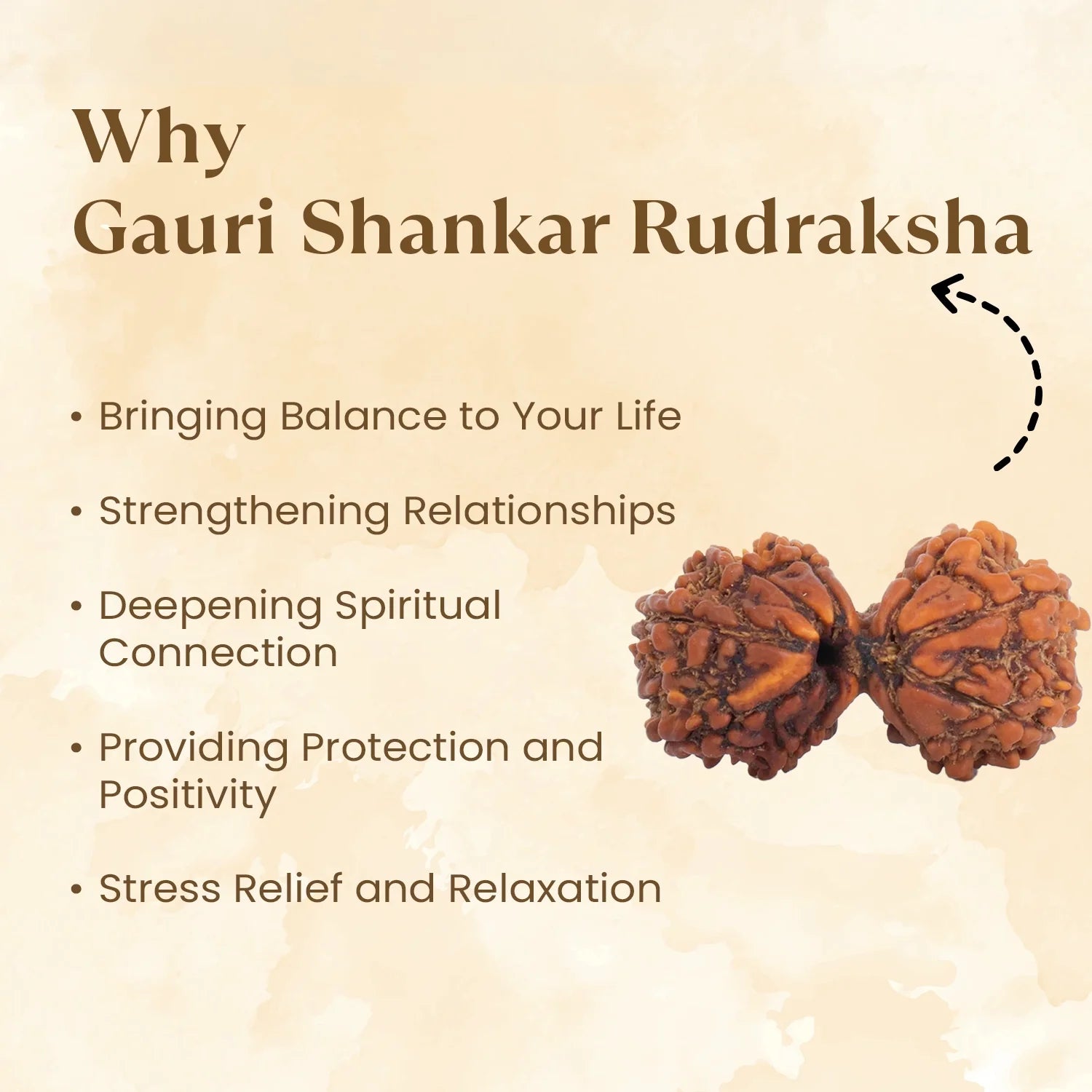 Nepal Origin Gauri Shankar Rudraksha - 17mm to 22mm