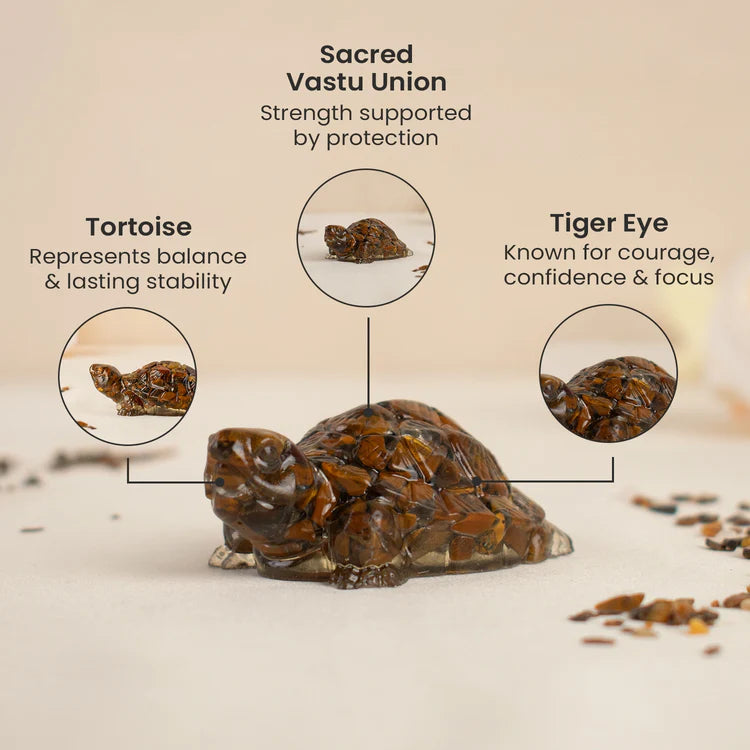 Vastu Tiger Eye Tortoise (Kachhua)