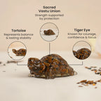 Vastu Tiger Eye Tortoise (Kachhua)
