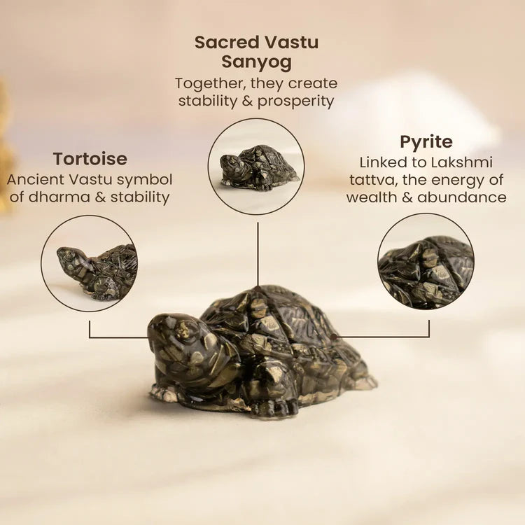 Super Vastu Combo : 7 Horses Pyrite Frame & Pyrite Tortoise