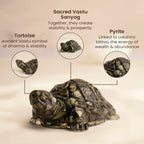 Vastu Pyrite Tortoise Combo