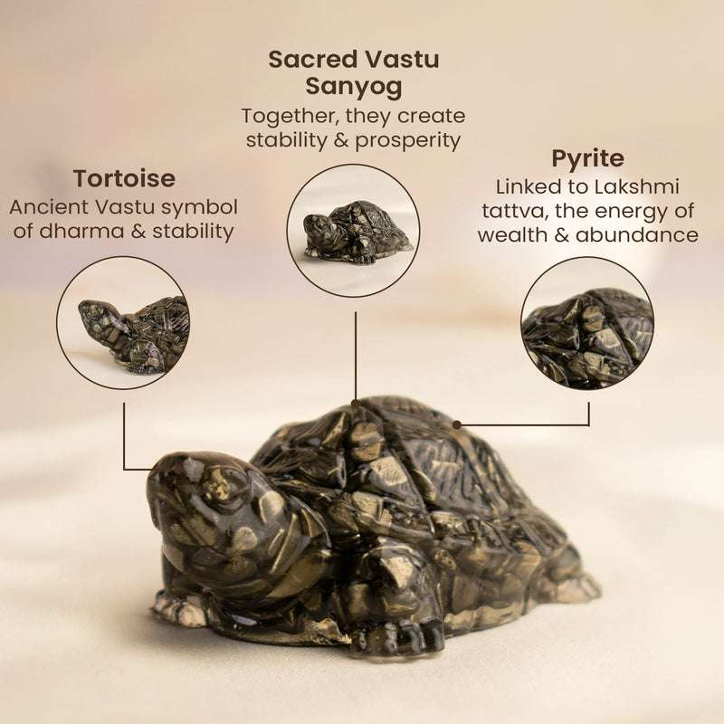 Collector’s Edition Pyrite Tortoise (Kachhua) - Big Size - 8x heavier