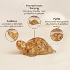 Vastu Citrine Tortoise (Kachhua)