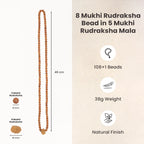 8 Mukhi Rudraksha Bead in 5 Mukhi Rudraksha Mala