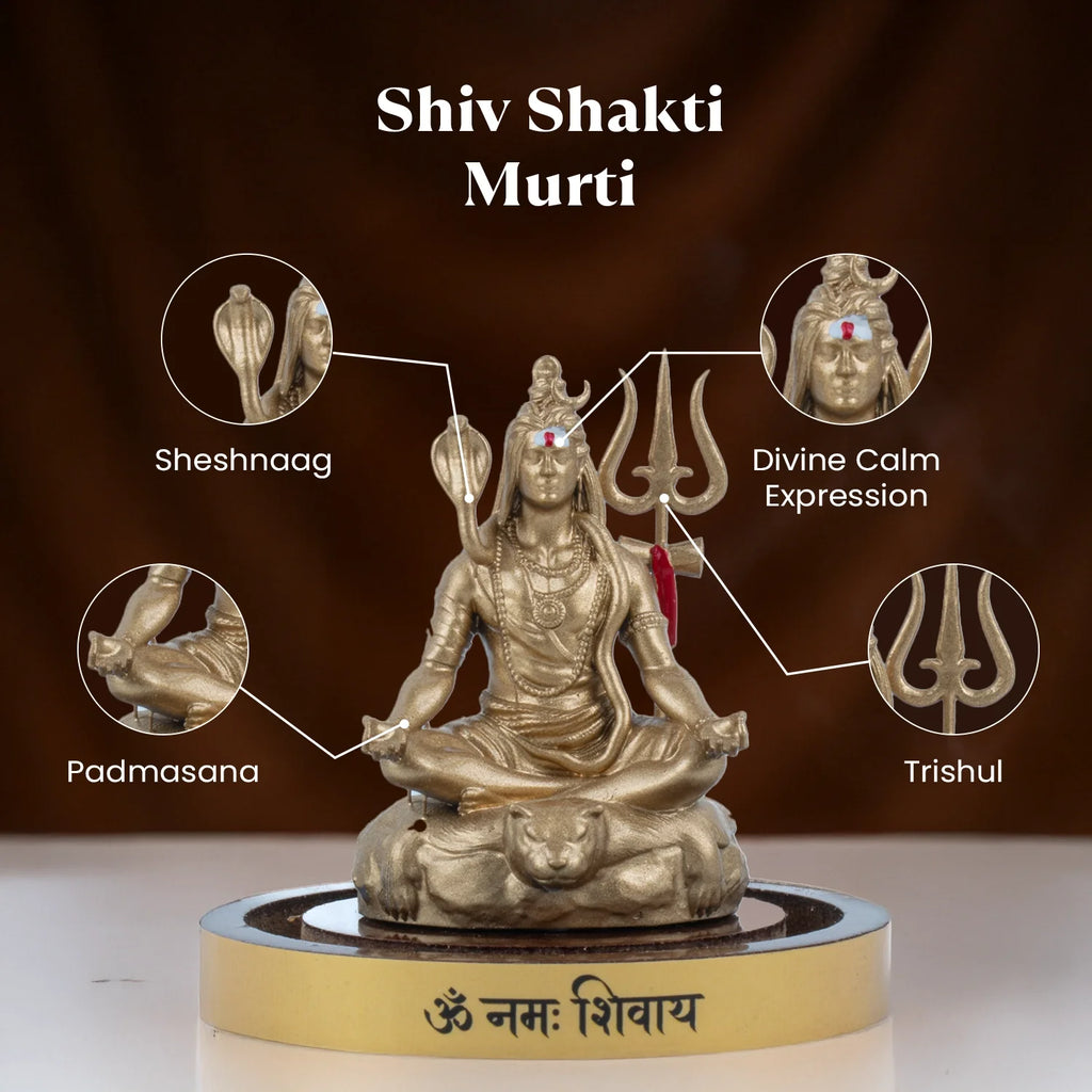 Shiv Shakti Murti