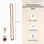 3 Mukhi Rudraksha Bead in 5 Mukhi Rudraksha Mala
