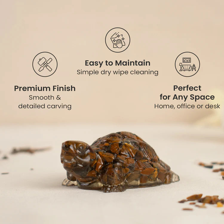 Vastu Tiger Eye Tortoise (Kachhua)