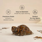 Vastu Tiger Eye Tortoise (Kachhua)
