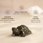 Vastu Pyrite Tortoise Combo