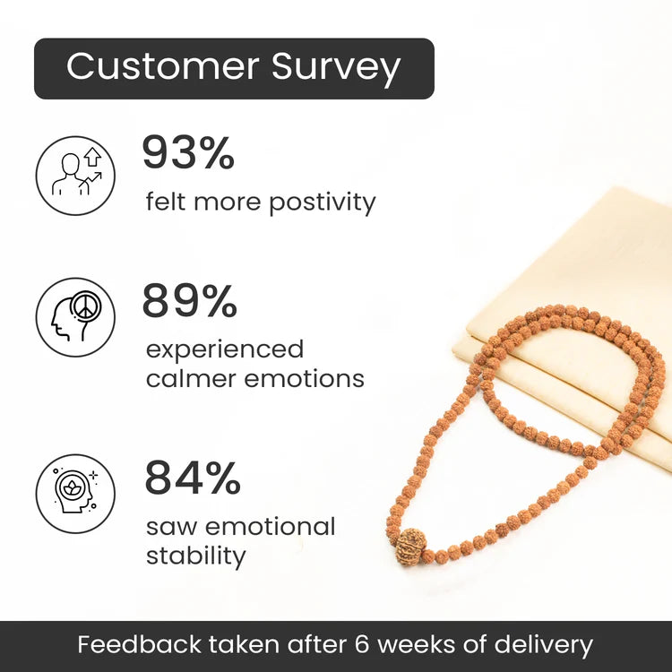 10 Mukhi Rudraksha bead in 5 Mukhi Rudraksha Mala