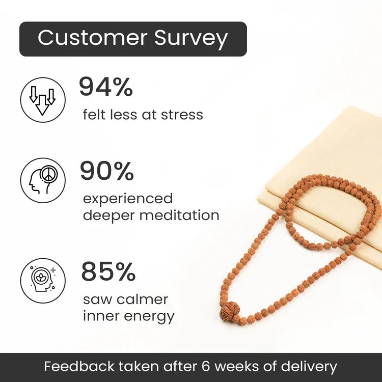 11 Mukhi Rudraksha bead in 5 Mukhi Rudraksha Mala