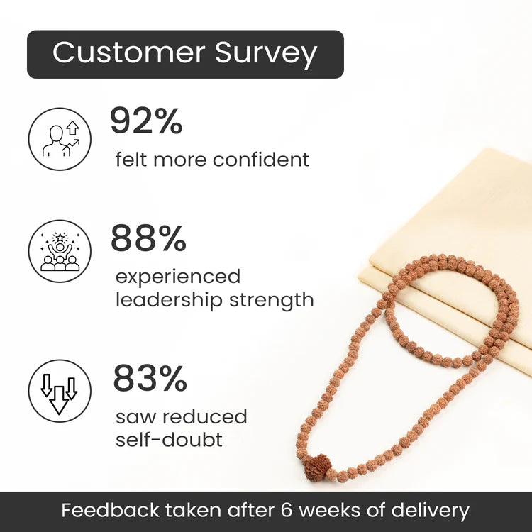 12 Mukhi Rudraksha bead in 5 Mukhi Rudraksha Mala