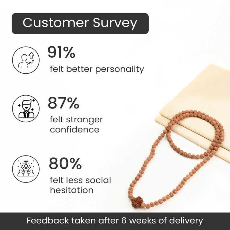 13 Mukhi Rudraksha bead in 5 Mukhi Rudraksha Mala