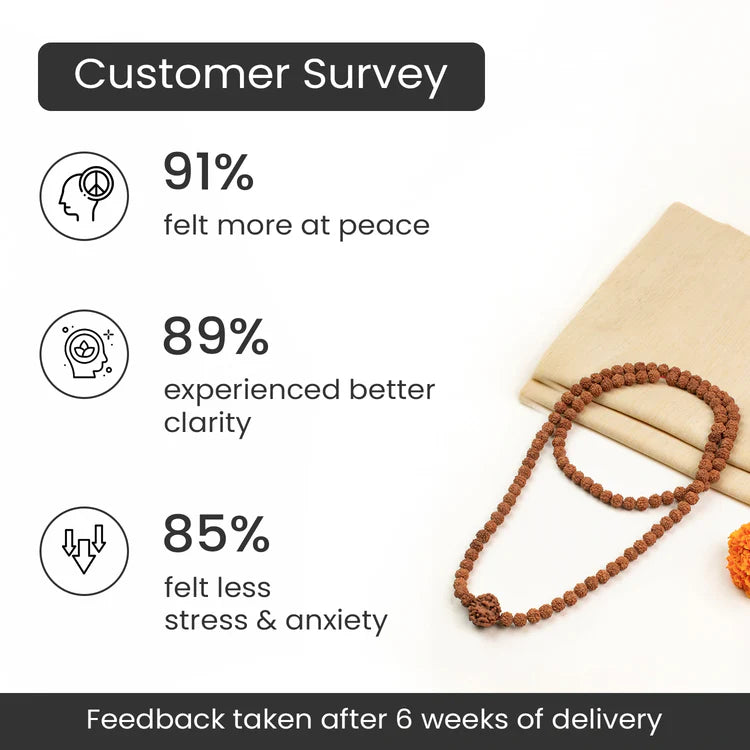 1 Mukhi (Under-Developed) Rudraksha Bead in 5 Mukhi Rudraksha Mala