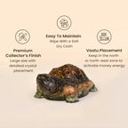 Collector’s Edition Vastu Dhan Yog Tortoise (Big size)