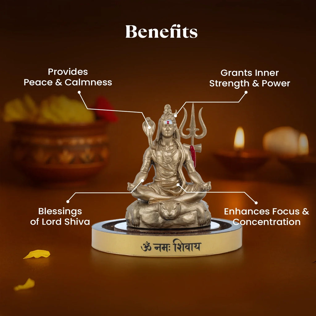 Shiv Shakti Murti