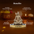 Shiv Shakti Murti