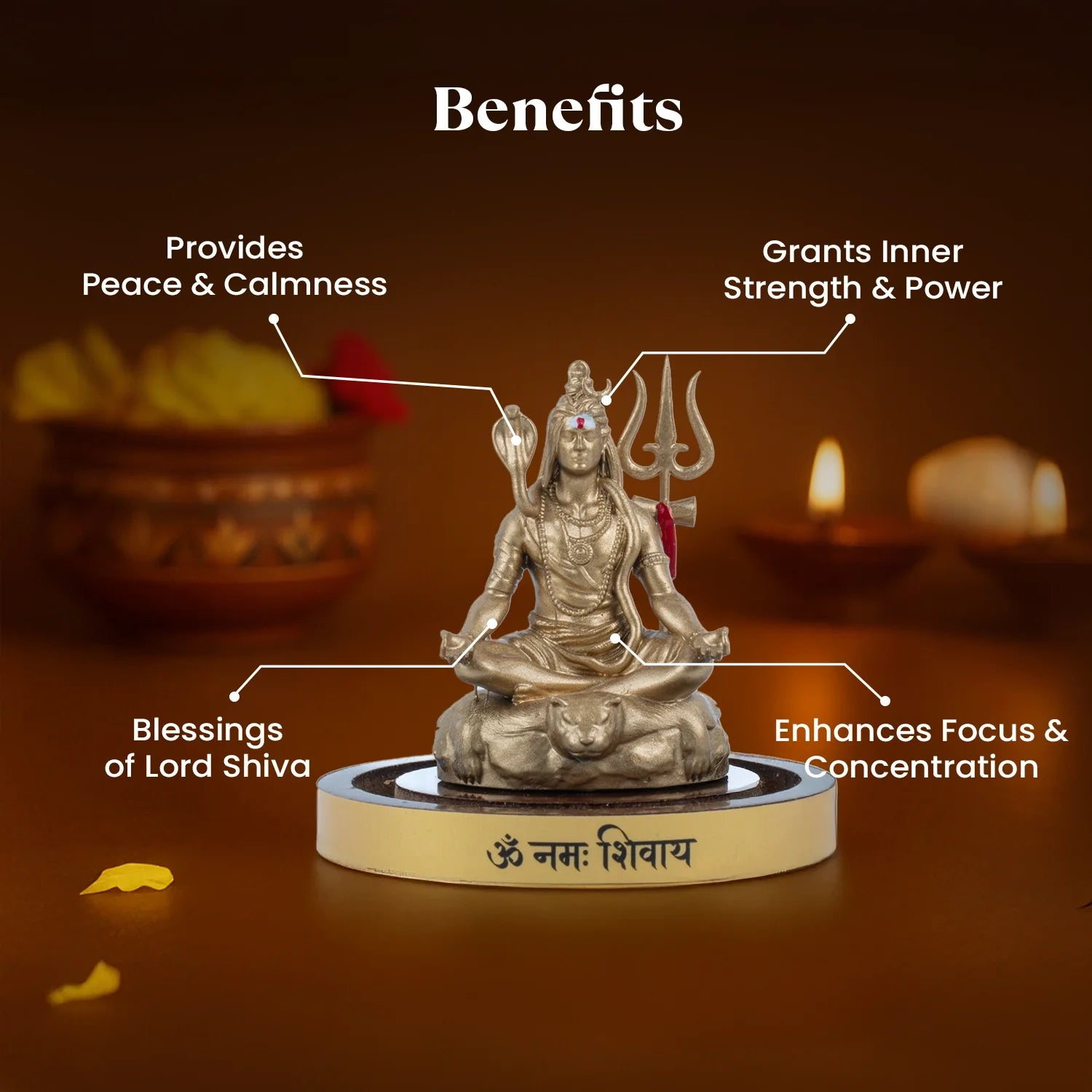 Shiv Shakti Murti
