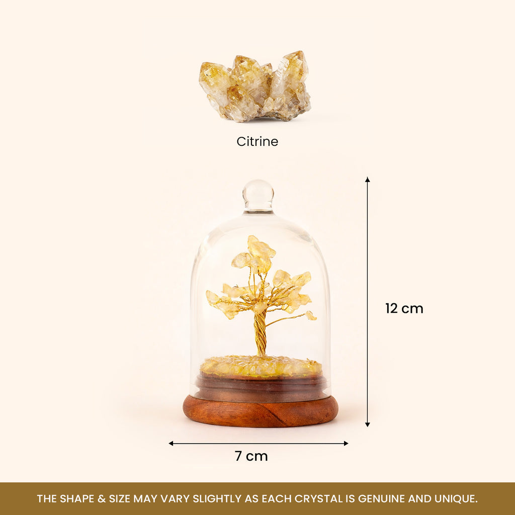 Citrine Dome Tree