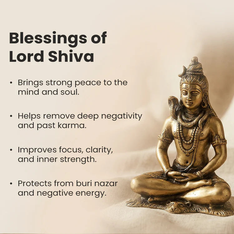 1 Mukhi (Under-Developed) Rudraksha Bead in 5 Mukhi Rudraksha Mala