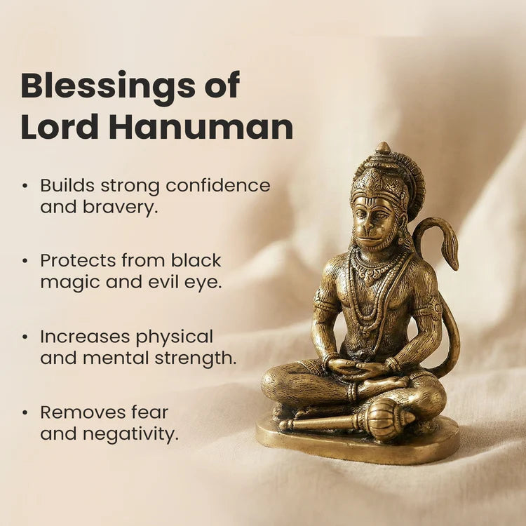 11 Mukhi Rudraksha bead in 5 Mukhi Rudraksha Mala