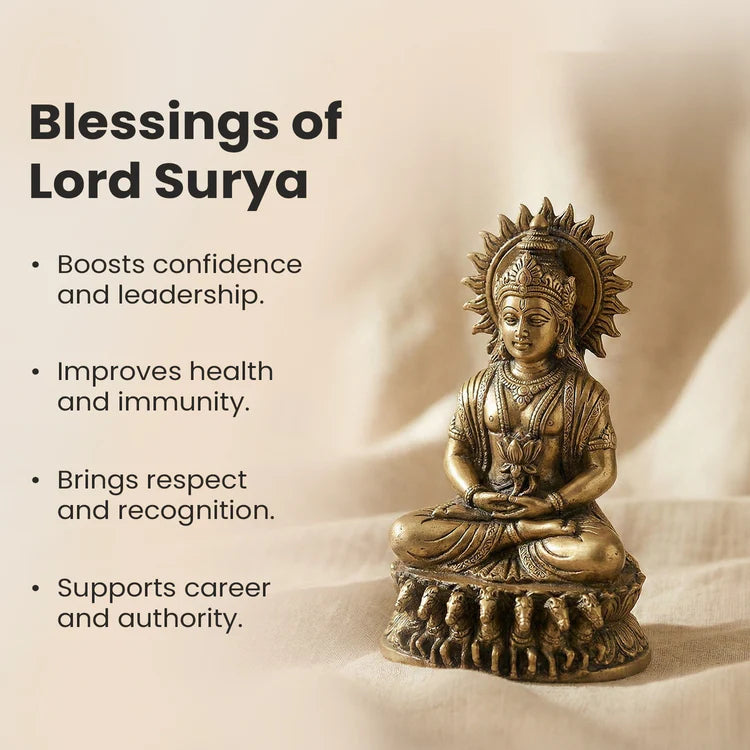 12 Mukhi Rudraksha bead in 5 Mukhi Rudraksha Mala