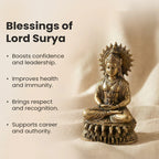 12 Mukhi Rudraksha bead in 5 Mukhi Rudraksha Mala