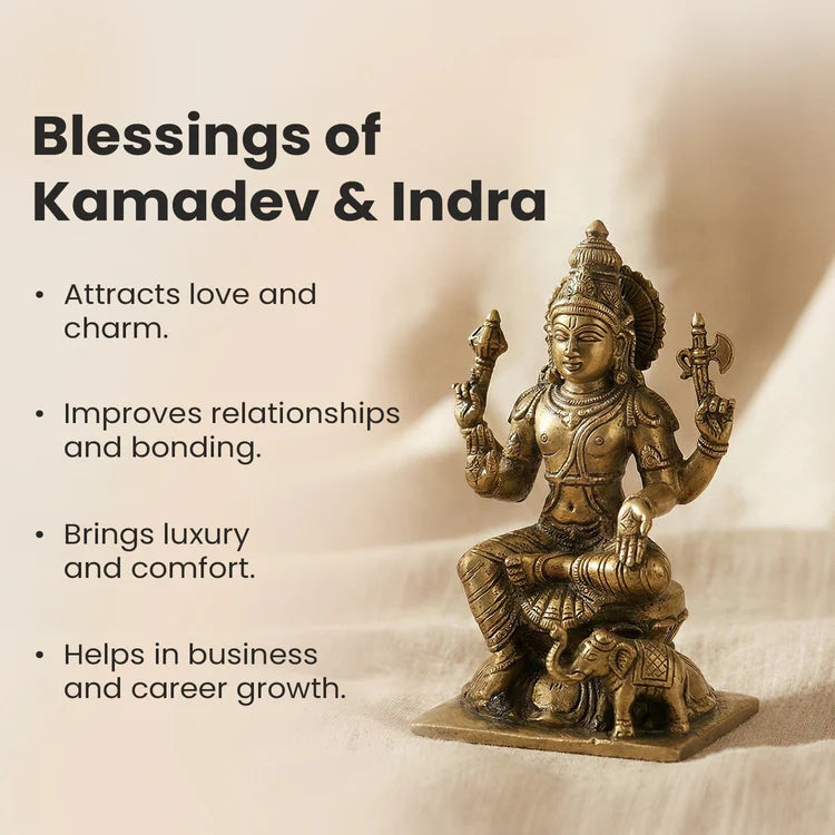 13 Mukhi Rudraksha bead in 5 Mukhi Rudraksha Mala