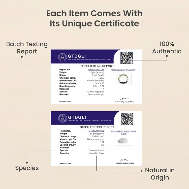 Pisces Zodiac Citrine & Tiger Eye Bracelet